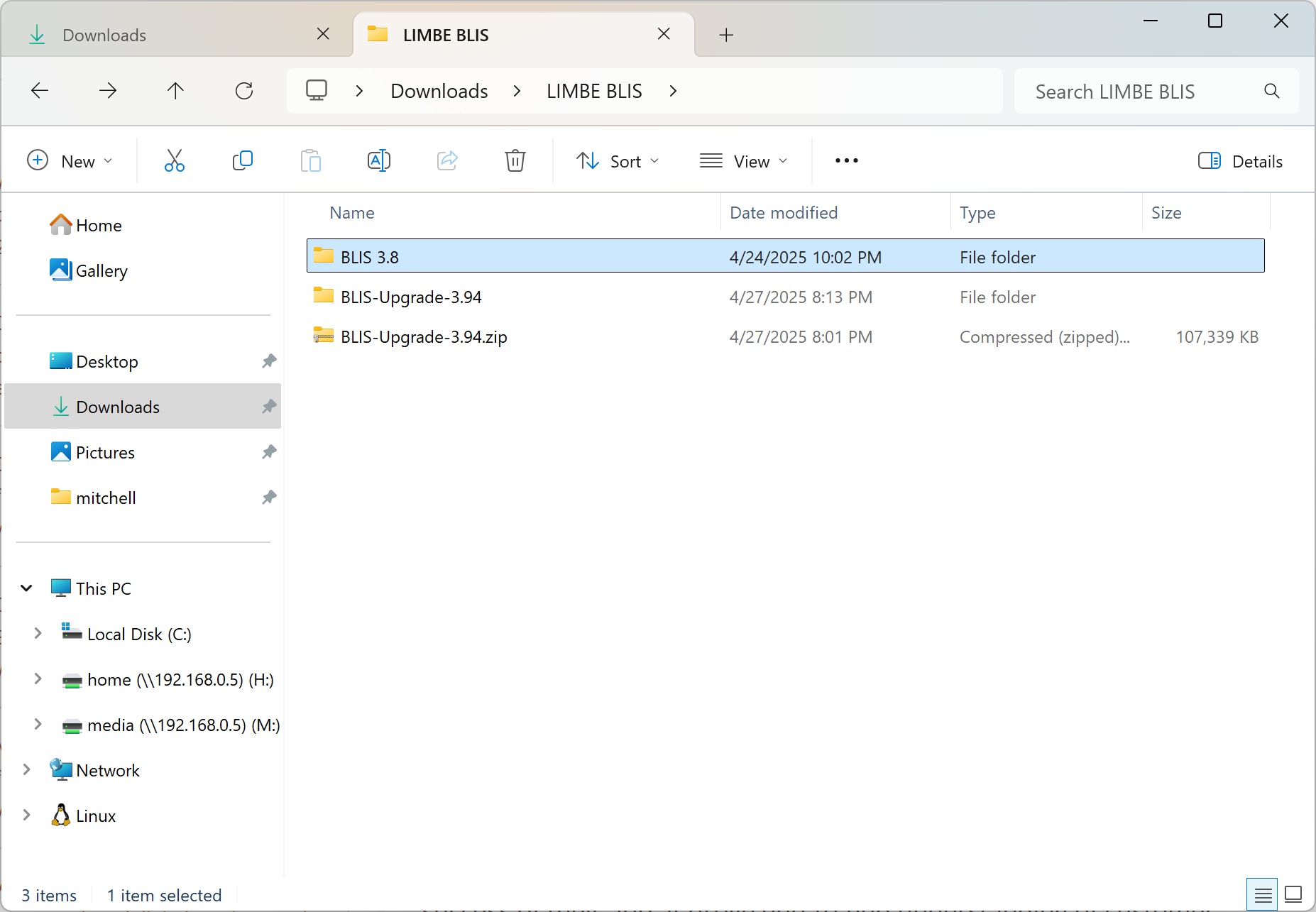 BLIS folder