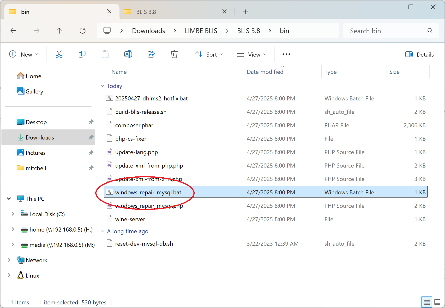 database repair bat file
