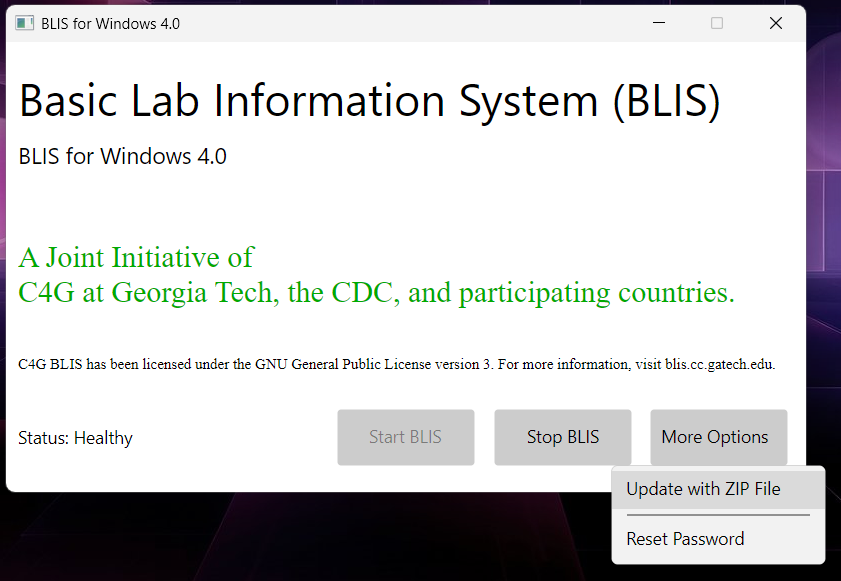 Screenshot of the More Options dropdown with Update with ZIP File highlighted