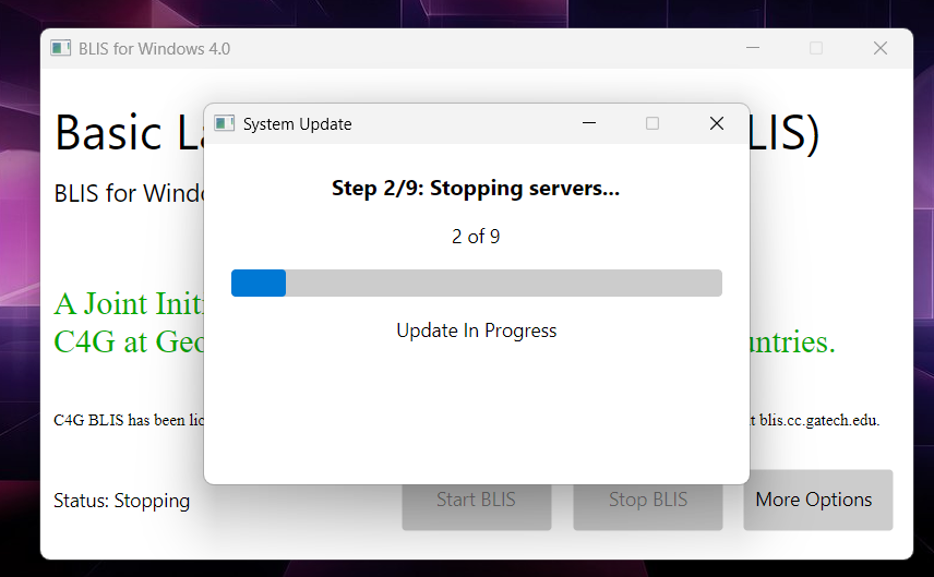 Screenshot of the update progress window